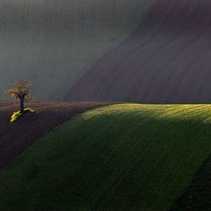 Meet your Posher, Barbara